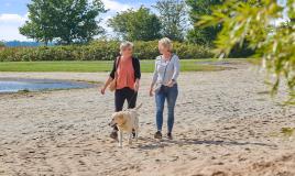 Balade au bord du lac au camping de Meerwijck aux Pays-Bas